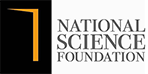 NFS Logo